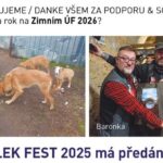 Zimní Útulek fest podpořil ukrajinské útulky
